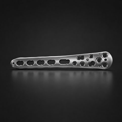 Femur